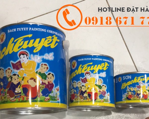Sơn Bạch Tuyết Có Giá Bao Nhiêu Tiền Một Thùng?
